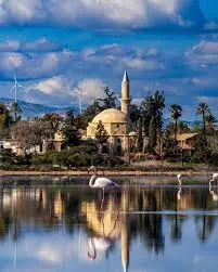 Exploring Larnaca: The Jewel of Cyprus