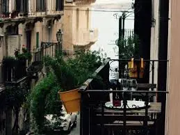 Understanding the Roma: Culture, Challenges, and Contributions