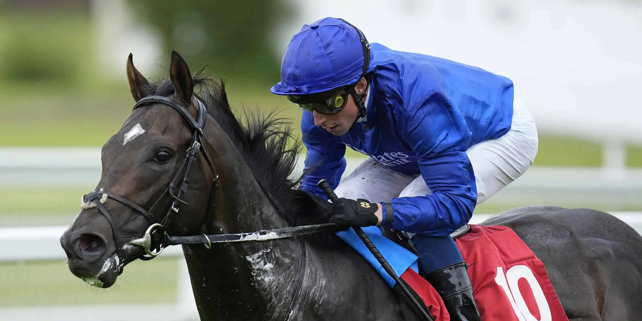 Recent Rulings Affecting the Horse Racing Industry