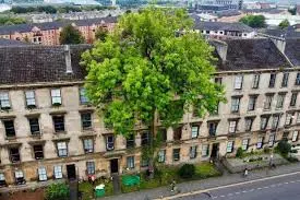 Recent Fire Incident on Argyle Street Ash Raises Safety Concerns
