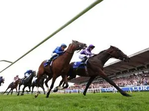 The Thrill of Horse Racing: Highlights at the Races