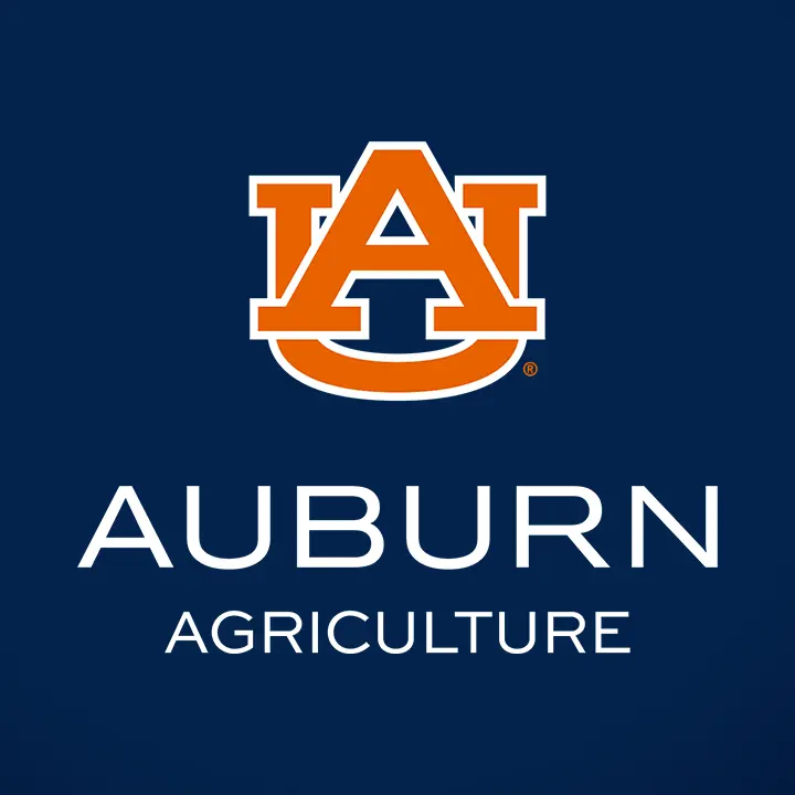 Auburn University: An Overview of Its Impact and Achievements