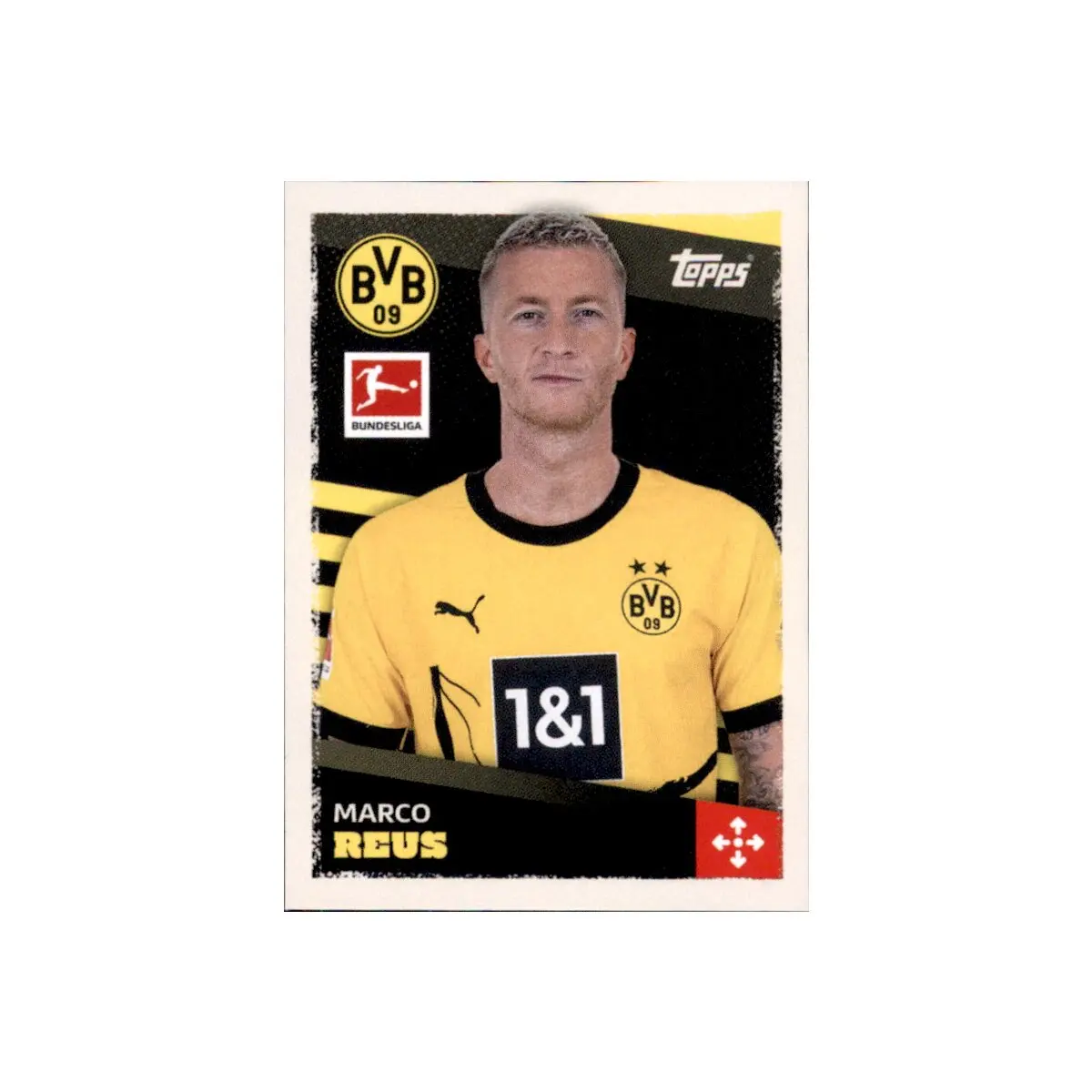 The Rise and Recent Success of Borussia Dortmund