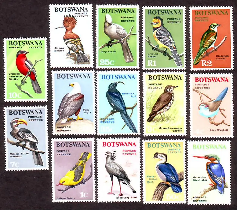 Exploring Botswana: Nature, Economy, and Culture