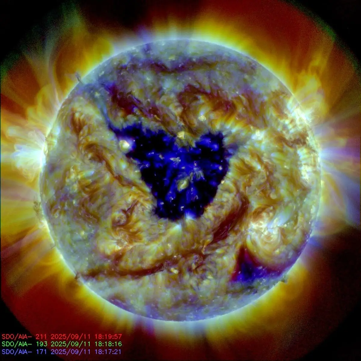 Understanding the Butterfly Shaped Hole on the Sun