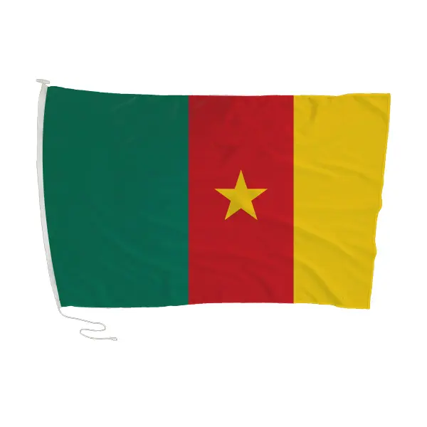 Exploring the Depths of Cameroon: Culture, Challenges, and Progress