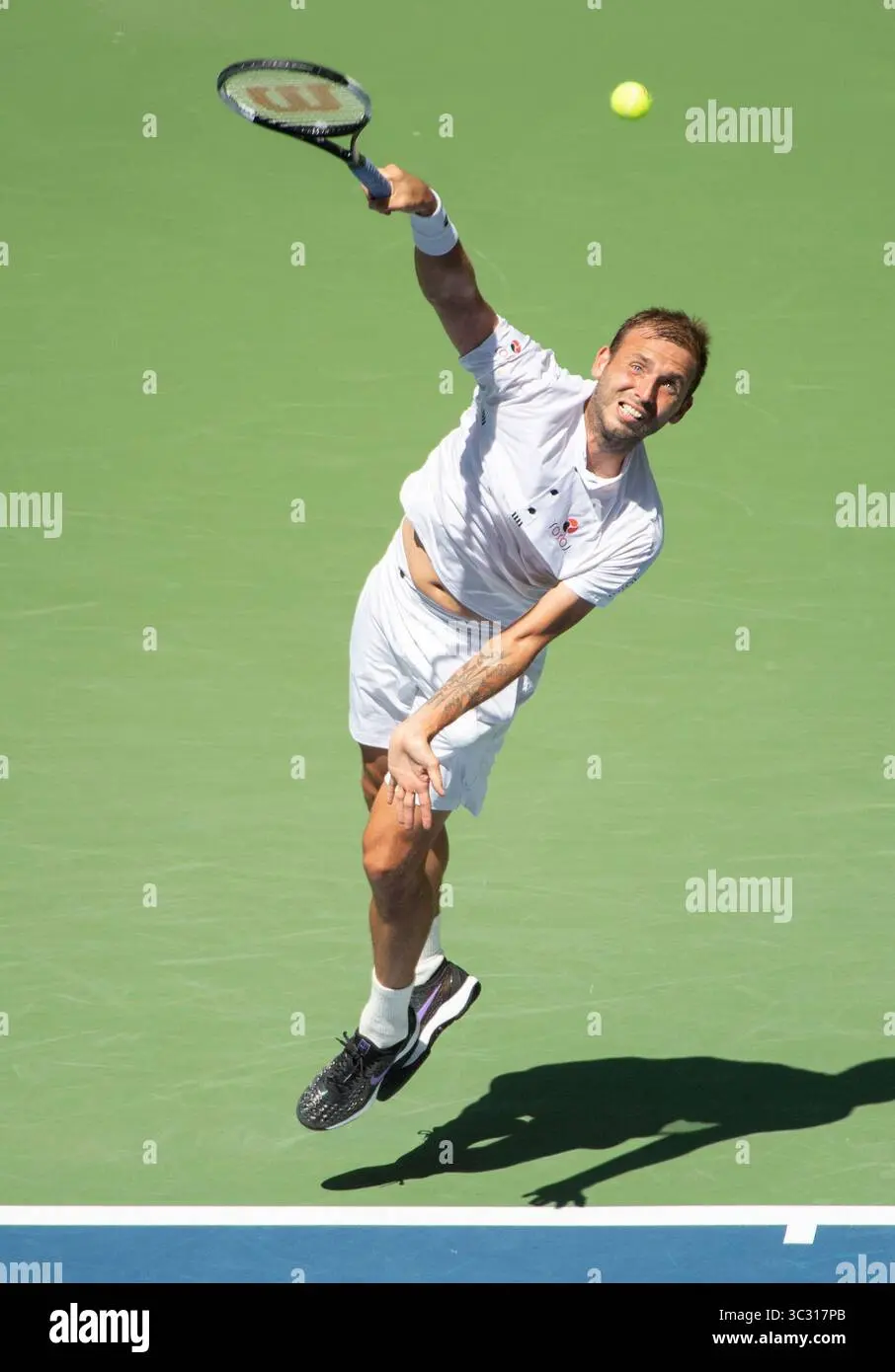 The Rise of Dan Evans in British Tennis