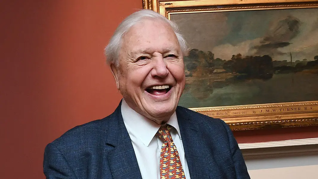 The Impact of David Attenborough on Natural History Broadcasting