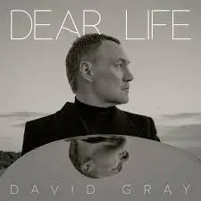 The Musical Journey of David Gray: A Retrospective
