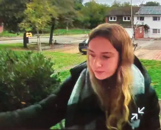 The Ongoing Search for Lilly Higgins: Missing Case Updates