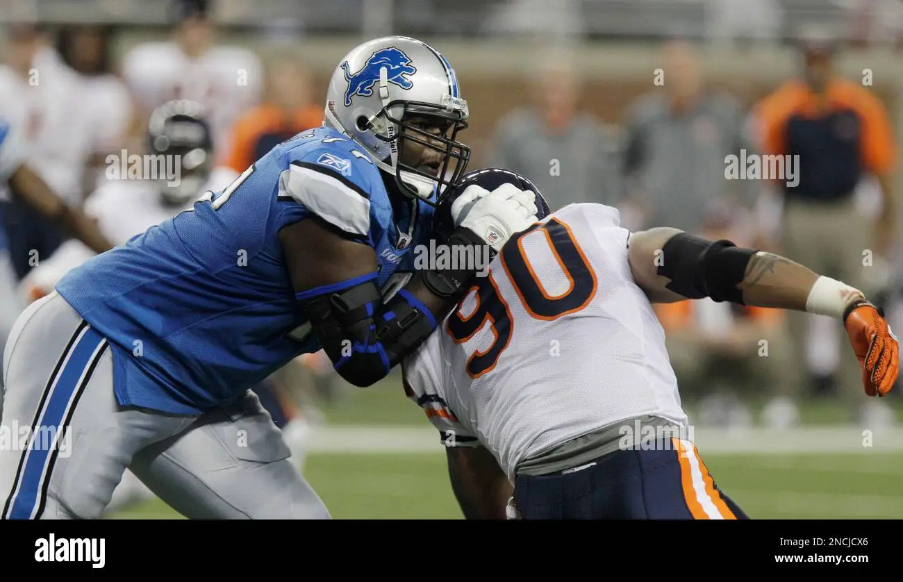 Lions vs Bears: Nature’s Majestic Titans