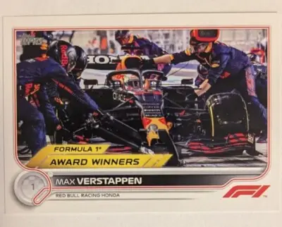 The Rise of Max Verstappen: Formula 1’s Young Champion