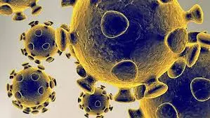 Understanding the New COVID Strain: Current Developments