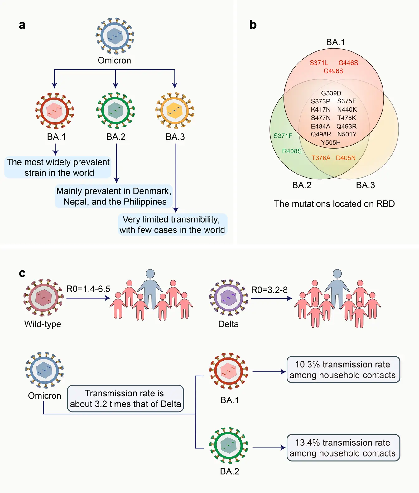 Understanding the New Covid Variant: Impacts and Insights