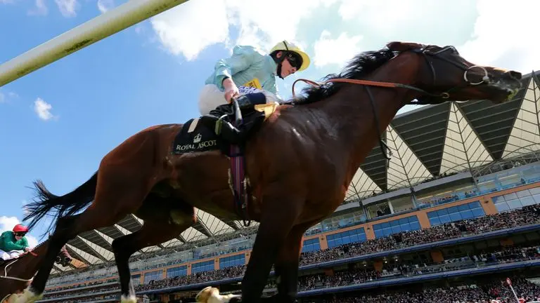 The Thrill of Newmarket Races: A Hub for Horse Racing Fans