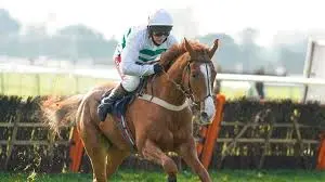Understanding the Racing Post and Its Significance