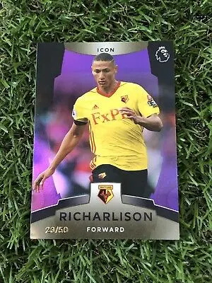 Richarlison: The Rise of a Football Star