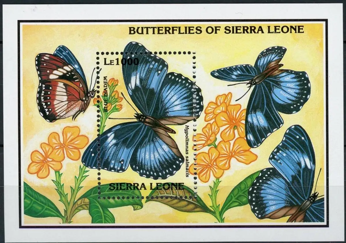 Recent Developments in Sierra Leone: A Growing Nation