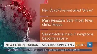 Understanding Stratus COVID Symptoms