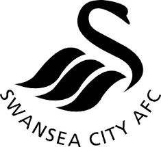 Exploring the Journey of Swansea FC: A Season of Change