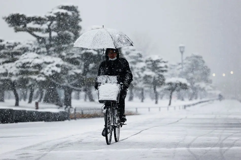 October 2023 Tokyo Weather: What to Expect