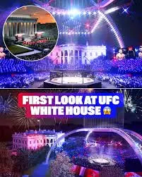 The Evolving Relationship Between the UFC and the White House