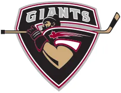 The Vancouver Giants: A Look at Their Season and Future Prospects