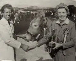 Exploring the Westmorland Show 2023: Traditions and Highlights