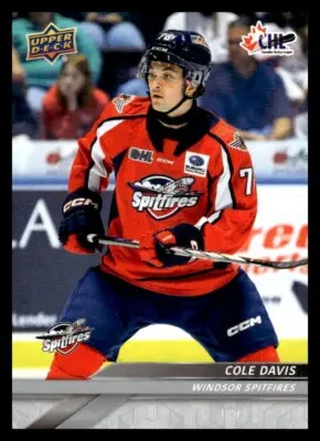 The Windsor Spitfires: A Storied Hockey Legacy