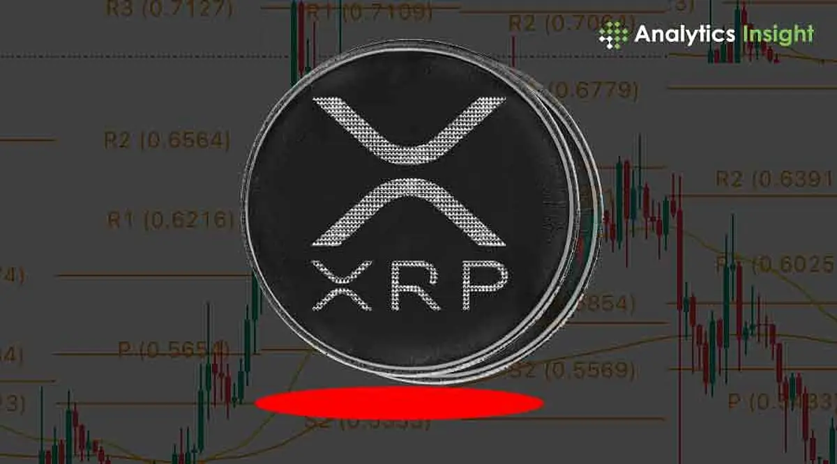 Understanding XRP: A Key Player in the Cryptocurrency Market