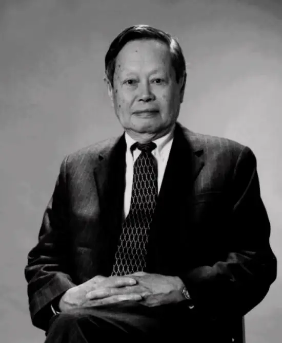 The Legacy of Yang Zhenning in Modern Physics