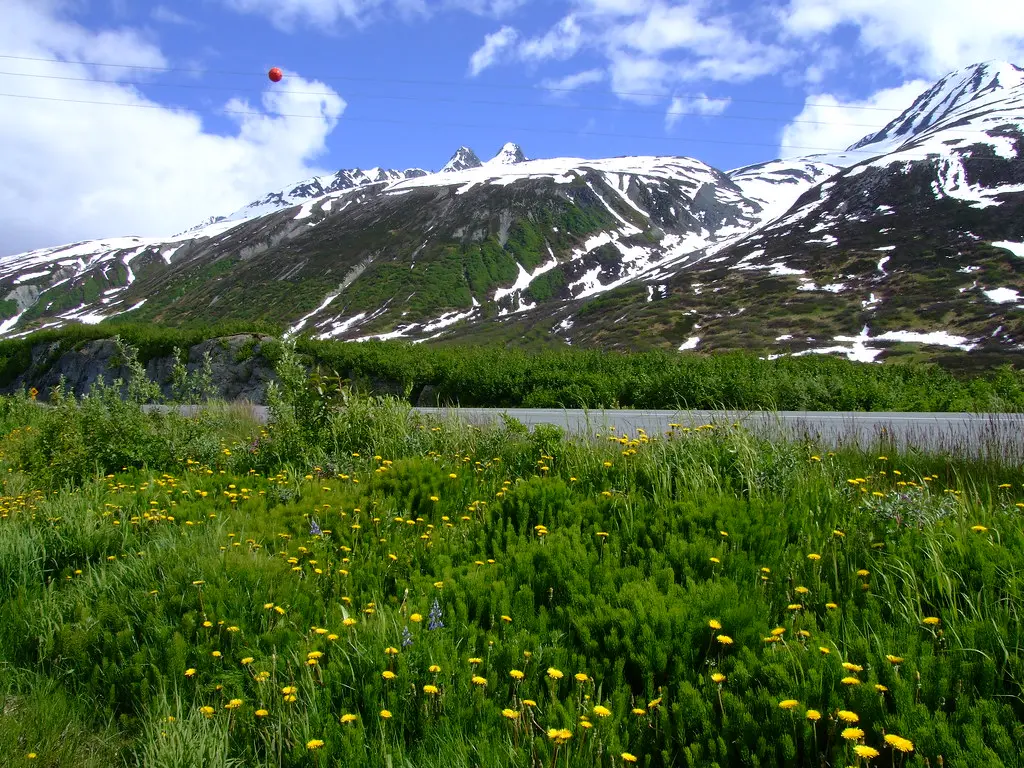 Exploring the Wonders of Alaska: The Last Frontier