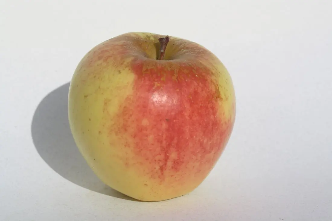 The Continuing Evolution and Success of Apple Inc.