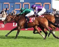 An Overview of the Arc de Triomphe Race 2025