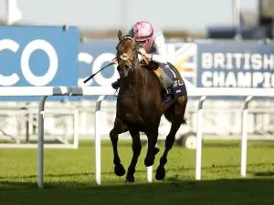The Ascot Races: An Iconic Event in British Sports History