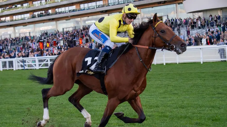 Highlights from the Ascot Races Today