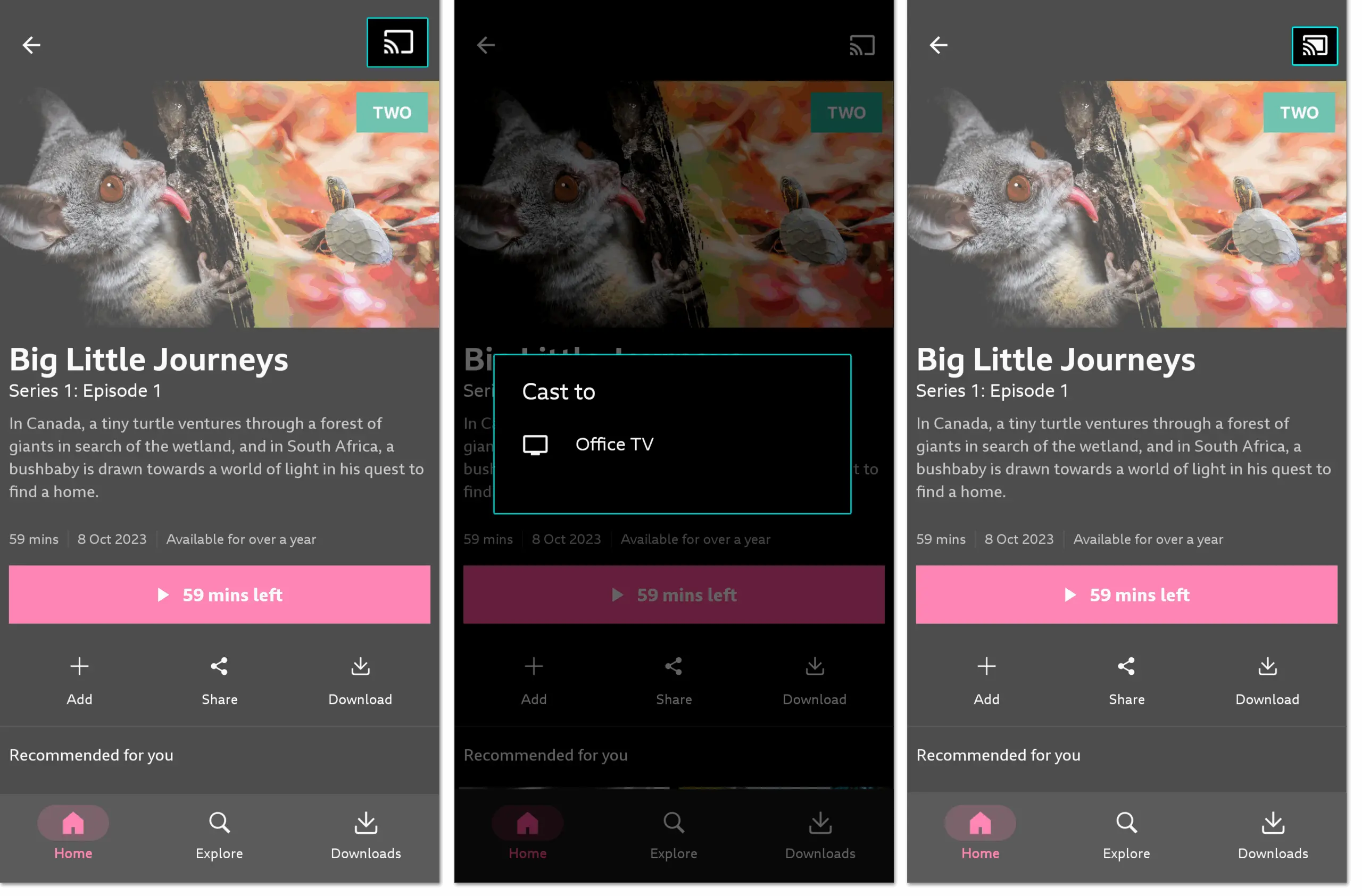 Exploring the Features and Significance of BBC iPlayer