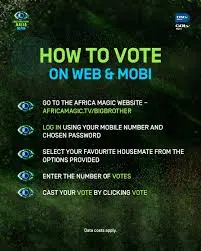 Understanding the Big Brother Vote: Importance and Impact