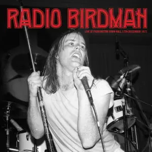 Understanding Birdman: Influence and Current Developments
