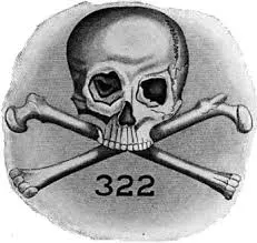 The Importance of Bones in Human Anatomy and Health