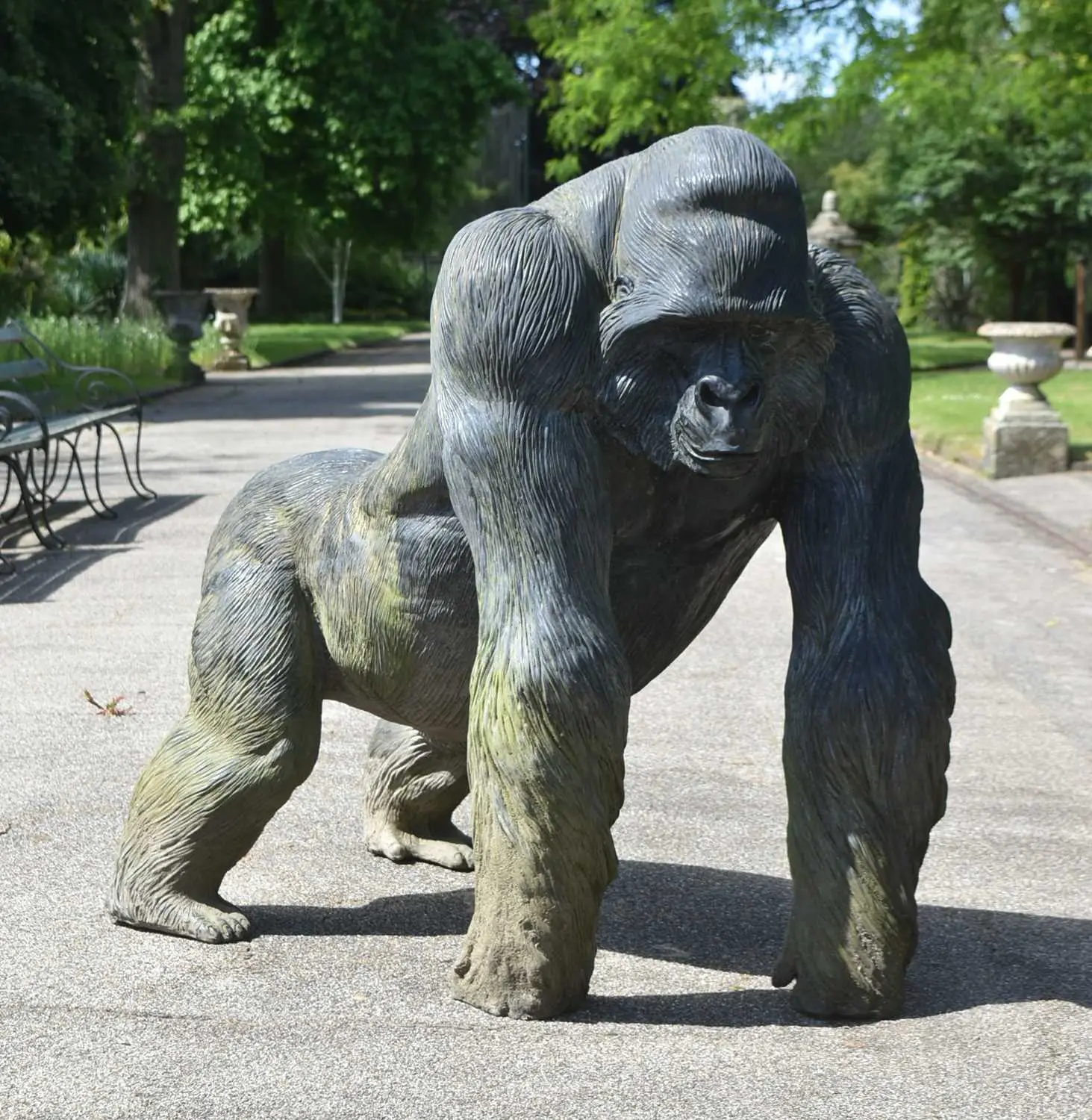 Understanding the Importance of the Bristol Zoo Gorillas