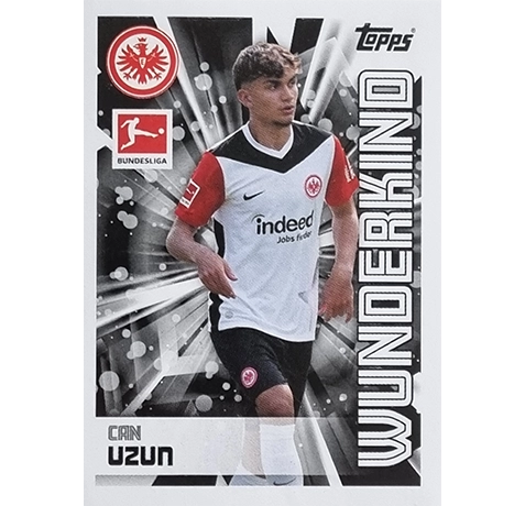 An Overview of the Bundesliga: Germany’s Top Football League