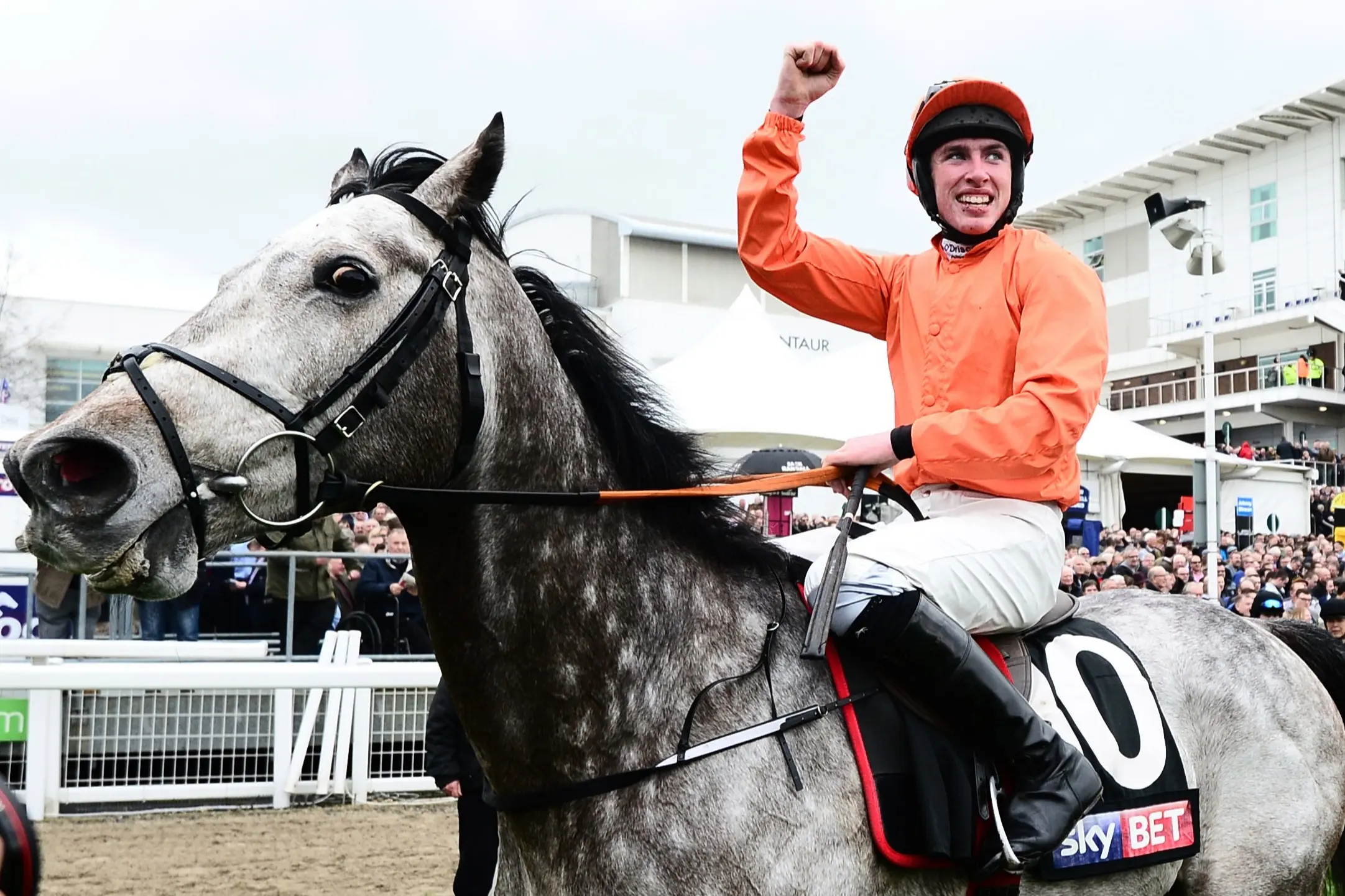 Highlights from Cheltenham Races Today