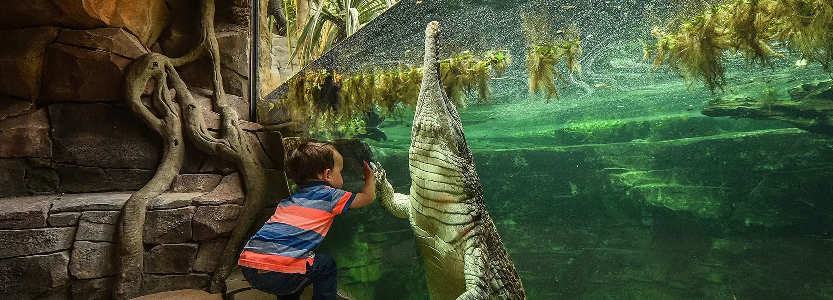 The Role of Chester Zoo in Conservation and Community Efforts