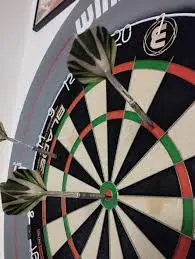 What to Expect from Darts Tonight: Key Matches and Players