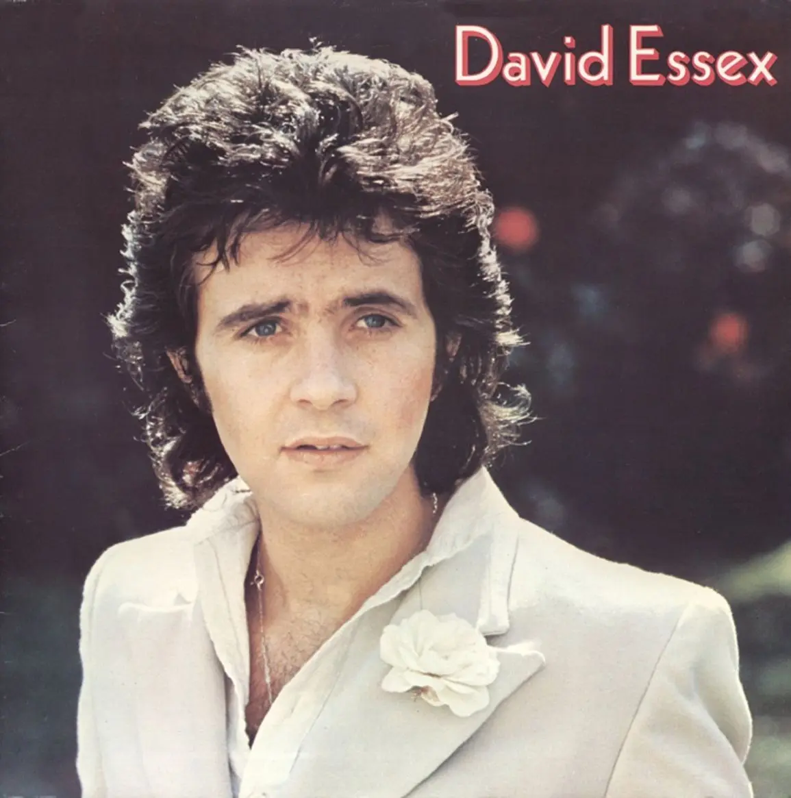 The Life and Legacy of David Essex