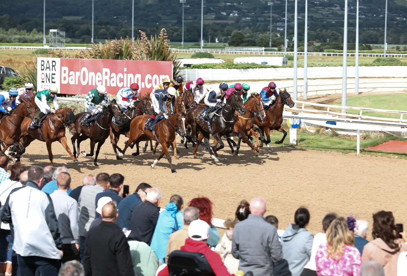 Discover the Excitement of Dundalk Races
