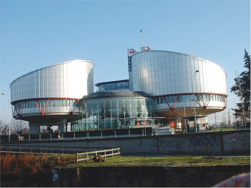 Understanding the Role of the European Court of Human Rights (ECHR)