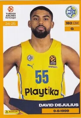 Understanding the EuroLeague: Europe’s Elite Basketball League