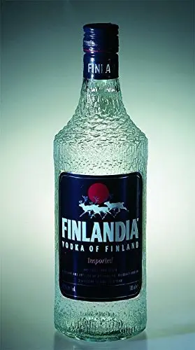 Exploring Finlandia – Litwa: Strengthening Bilateral Relations